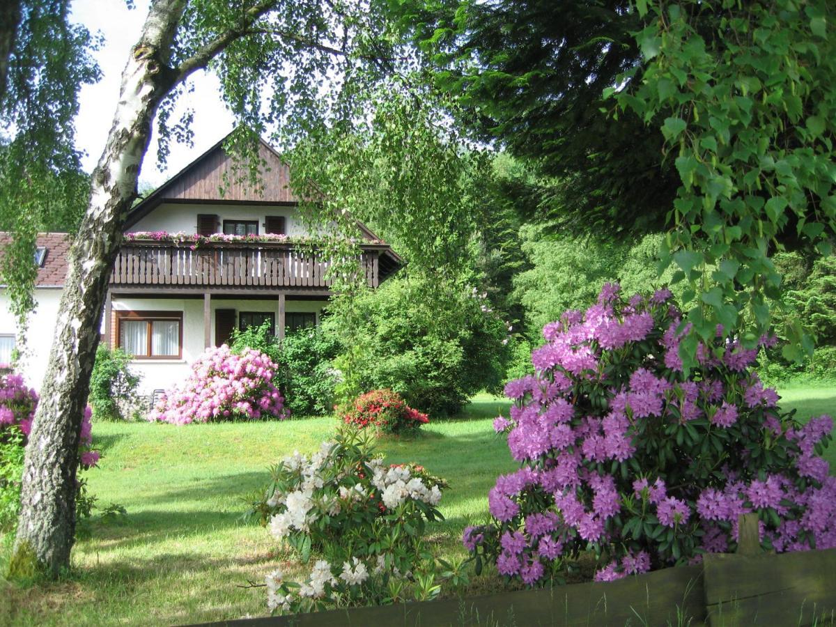 Haus Am Wald - Urlaub Am Nationalpark Apartment Langweiler  Exterior photo