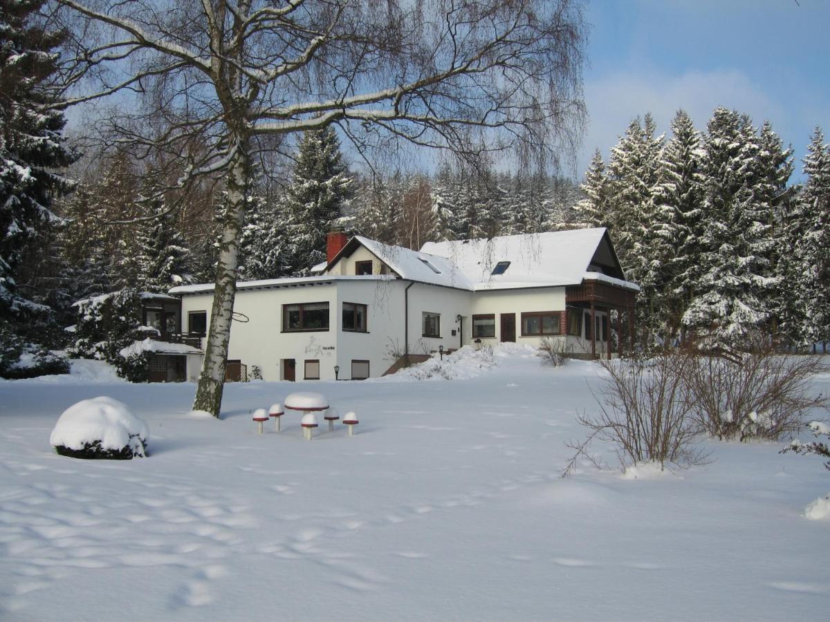 Haus Am Wald - Urlaub Am Nationalpark Apartment Langweiler  Exterior photo